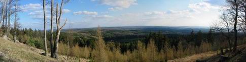 A view towards woods by Kivoklt (Crooklog) from Loutn.