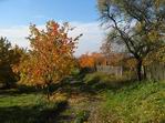 Path to orchard at esk rj