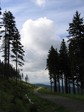 Asphalt road at Krkonoe