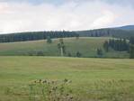 A birch by Polish border at valley of Divok Orlice