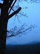 Tree with a wooden cross at guard post by Strov...and hills of Mountains of Sorrow.