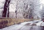 Road and a wall by a pond at Doln Chabry