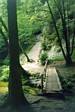 Pathway by Dolsk mln at eskosask vcarsko