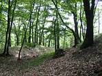 Escarpment of Early Bronze Age hillfort at Mal Babka by evnice